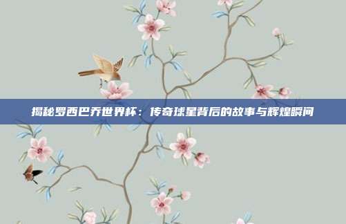 揭秘罗西巴乔世界杯:传奇球星背后的故事与辉煌瞬间