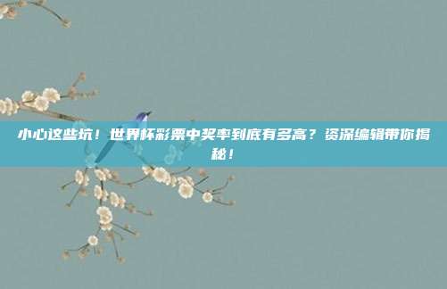 小心这些坑！世界杯彩票中奖率到底有多高？资深编辑带你揭秘！