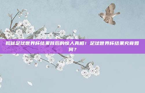 揭秘足球世界杯结果背后的惊人真相！足球世界杯结果究竟如何？