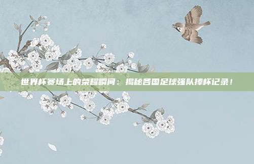 世界杯赛场上的荣耀瞬间:揭秘各国足球强队捧杯记录!