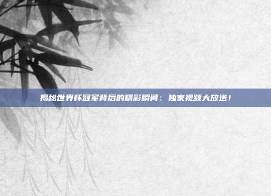 揭秘世界杯冠军背后的精彩瞬间：独家视频大放送！