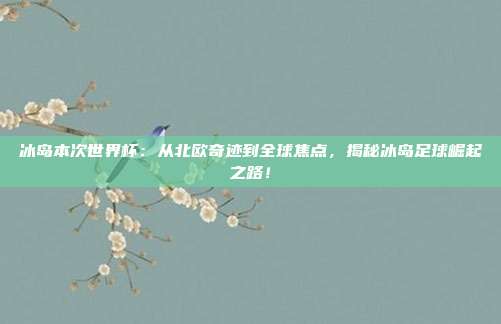 冰岛本次世界杯：从北欧奇迹到全球焦点，揭秘冰岛足球崛起之路！