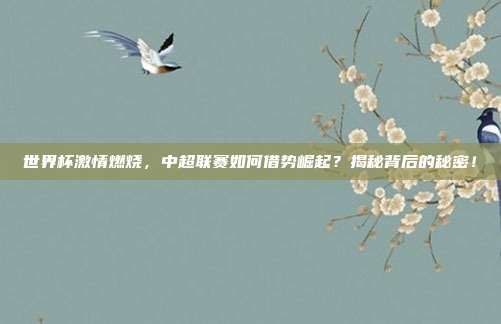 世界杯激情燃烧,中超联赛如何借势崛起?揭秘背后的秘密!