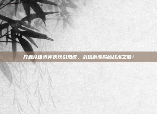丹麦队世界杯表现引热议，战报解读揭秘战术之谜！