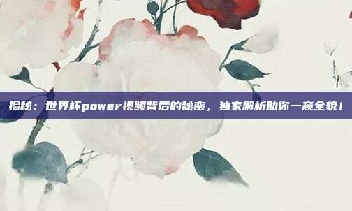 揭秘:世界杯power视频背后的秘密,独家解析助你一窥全貌!