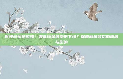 世界杯赛场惊魂！哪些球星因受伤下场？深度解析背后的原因与影响