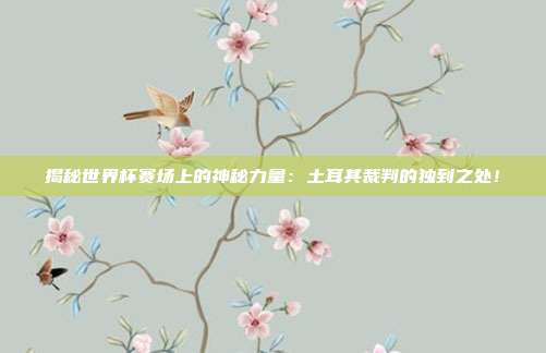 揭秘世界杯赛场上的神秘力量:土耳其裁判的独到之处!