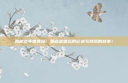 揭秘去年世界杯：那些被遗忘的记录与背后的故事！