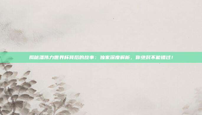 揭秘潘伟力世界杯背后的故事：独家深度解析，你绝对不能错过！