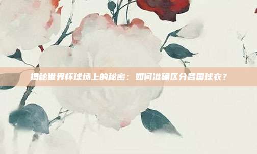 揭秘世界杯球场上的秘密：如何准确区分各国球衣？