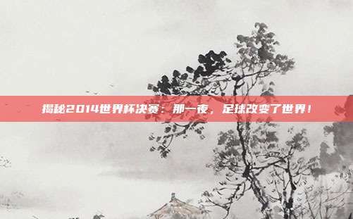 揭秘2014世界杯决赛:那一夜,足球改变了世界!