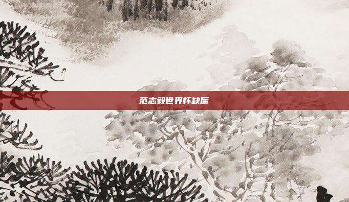 范志毅世界杯缺席