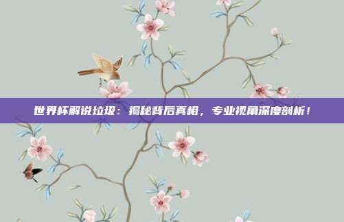 世界杯解说垃圾：揭秘背后真相，专业视角深度剖析！