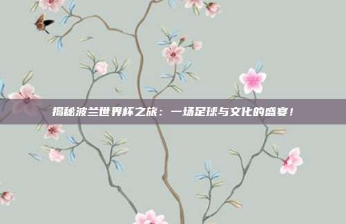 揭秘波兰世界杯之旅：一场足球与文化的盛宴！
