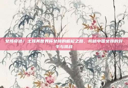 女排奇迹！土耳其世界杯女排的崛起之路，揭秘中国女排的对手与挑战