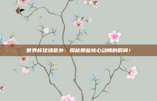 世界杯球场意外：揭秘那些惊心动魄的瞬间！