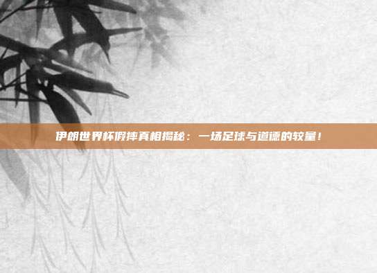 伊朗世界杯假摔真相揭秘：一场足球与道德的较量！