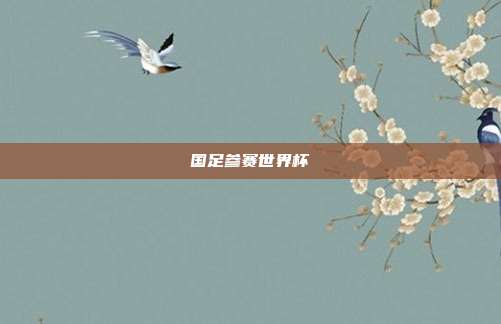 国足参赛世界杯