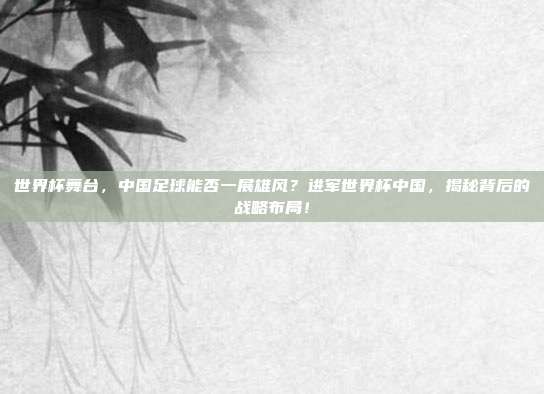 世界杯舞台，中国足球能否一展雄风？进军世界杯中国，揭秘背后的战略布局！