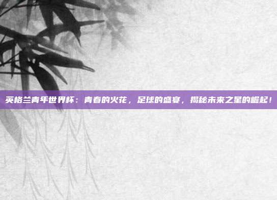 英格兰青年世界杯：青春的火花，足球的盛宴，揭秘未来之星的崛起！