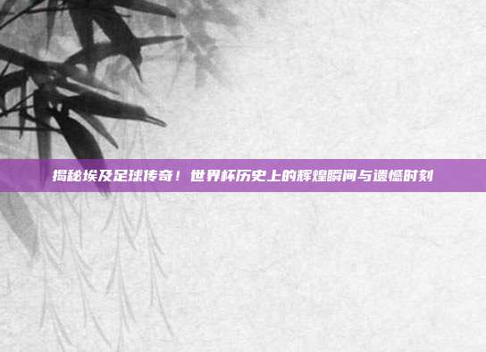 揭秘埃及足球传奇！世界杯历史上的辉煌瞬间与遗憾时刻