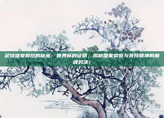 足球盛宴背后的秘密：世界杯的证明，揭秘国家荣誉与竞技精神的巅峰对决！