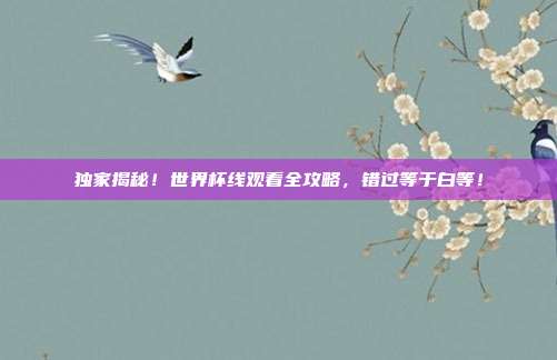 独家揭秘！世界杯线观看全攻略，错过等于白等！