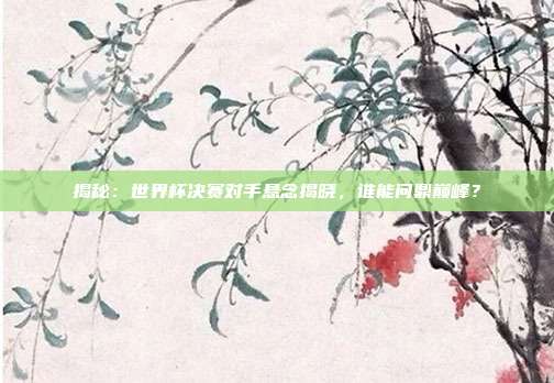 揭秘：世界杯决赛对手悬念揭晓，谁能问鼎巅峰？