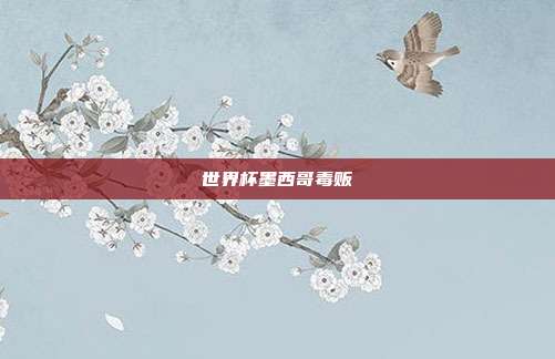 世界杯墨西哥毒贩