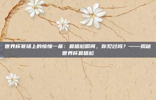 世界杯赛场上的惊悚一幕：最尴尬瞬间，你见过吗？——揭秘世界杯最尴尬