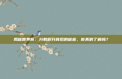 揭秘世界杯:分数积分背后的秘密,你真的了解吗?