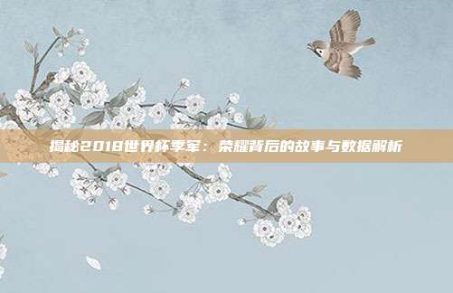 揭秘2018世界杯季军：荣耀背后的故事与数据解析