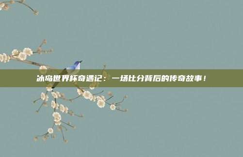冰岛世界杯奇遇记：一场比分背后的传奇故事！