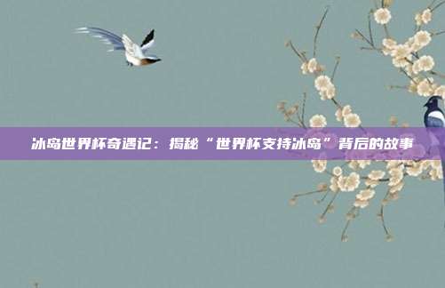 冰岛世界杯奇遇记：揭秘“世界杯支持冰岛”背后的故事