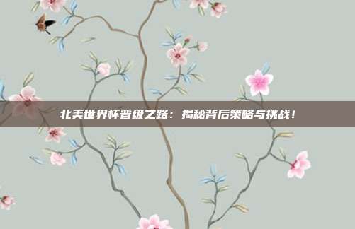 北美世界杯晋级之路：揭秘背后策略与挑战！