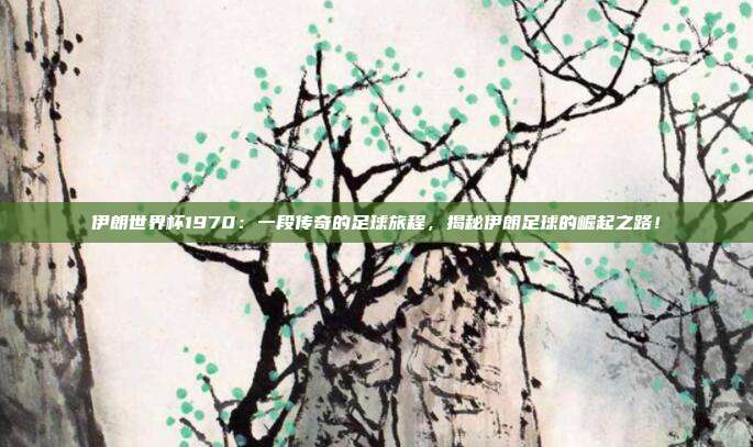 伊朗世界杯1970:一段传奇的足球旅程,揭秘伊朗足球的崛起之路!