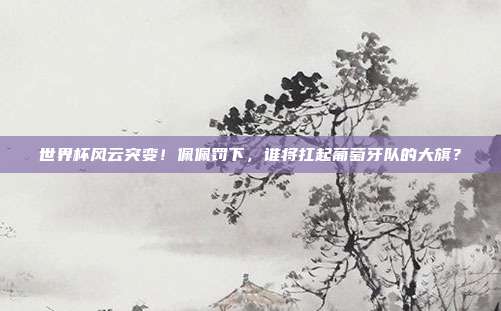 世界杯风云突变！佩佩罚下，谁将扛起葡萄牙队的大旗？