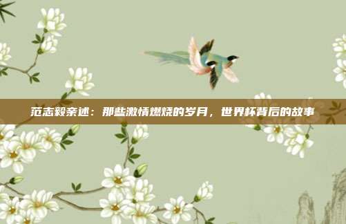 范志毅亲述：那些激情燃烧的岁月，世界杯背后的故事