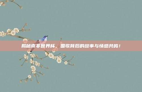 揭秘南非世界杯,国歌背后的故事与情感共鸣!