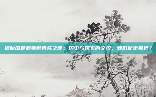 揭秘国足最多世界杯之谜：历史与现实的交织，我们能走多远？