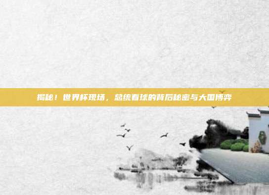 揭秘!世界杯现场,总统看球的背后秘密与大国博弈
