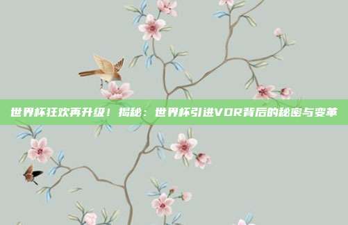世界杯狂欢再升级！揭秘：世界杯引进VDR背后的秘密与变革
