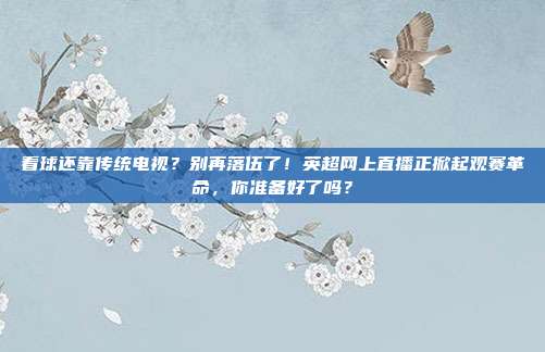 看球还靠传统电视？别再落伍了！英超网上直播正掀起观赛革命，你准备好了吗？