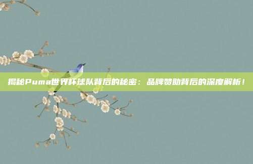 揭秘Puma世界杯球队背后的秘密：品牌赞助背后的深度解析！