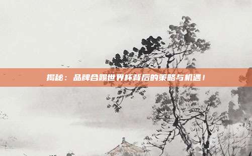 揭秘:品牌合踢世界杯背后的策略与机遇!