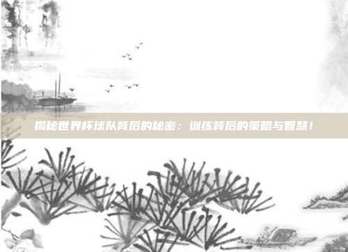 揭秘世界杯球队背后的秘密：训练背后的策略与智慧！