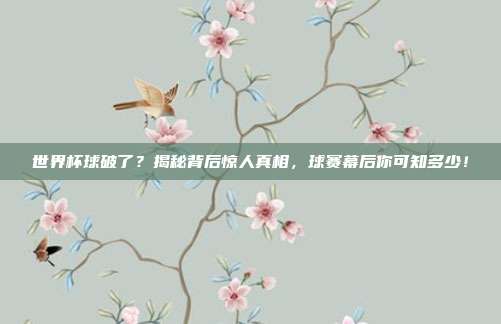 世界杯球破了？揭秘背后惊人真相，球赛幕后你可知多少！