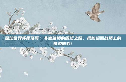 足球世界杯摩洛哥：非洲雄狮的崛起之路，揭秘绿茵战场上的奇迹时刻！