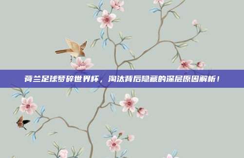 荷兰足球梦碎世界杯，淘汰背后隐藏的深层原因解析！