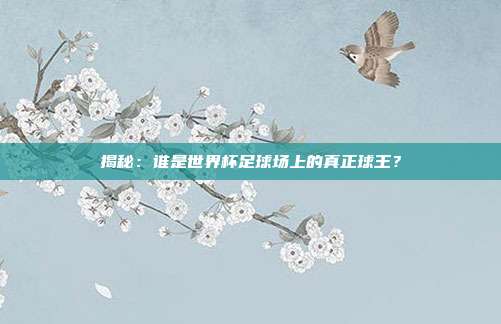 揭秘:谁是世界杯足球场上的真正球王?